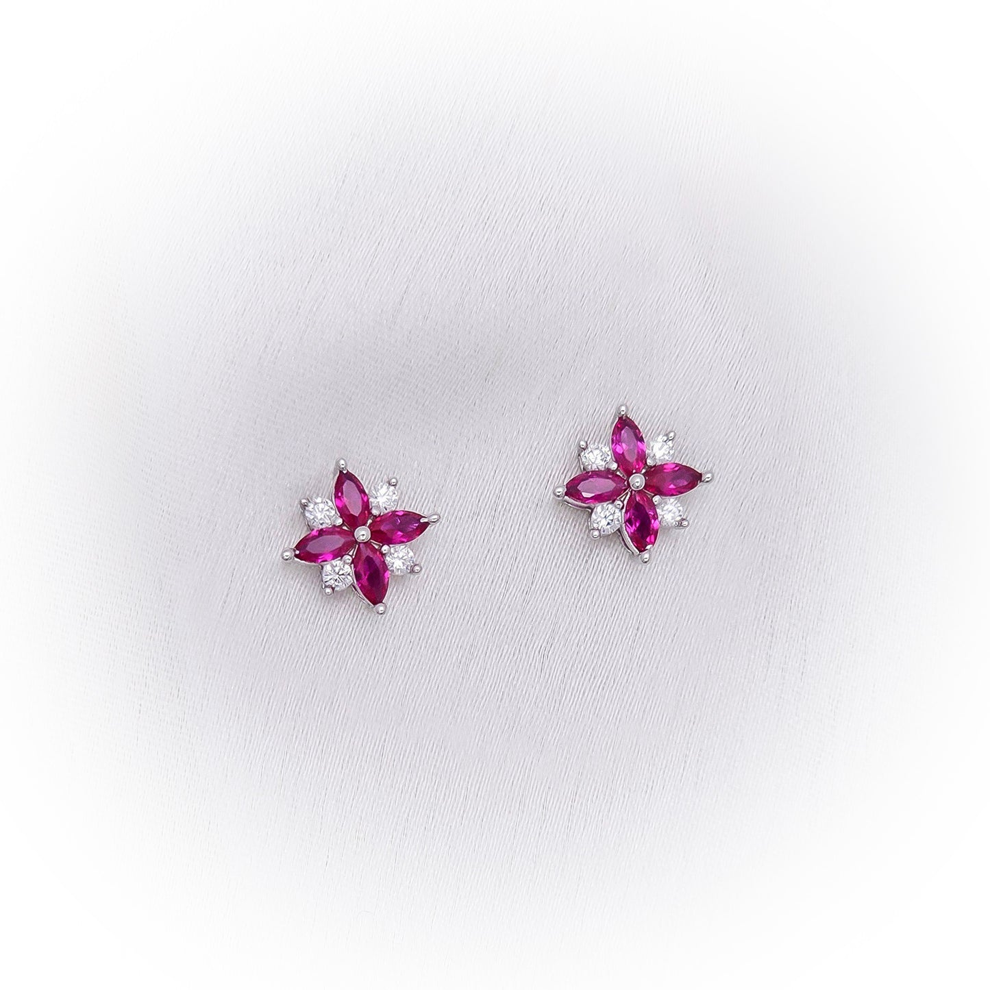 Silver Earrings E085