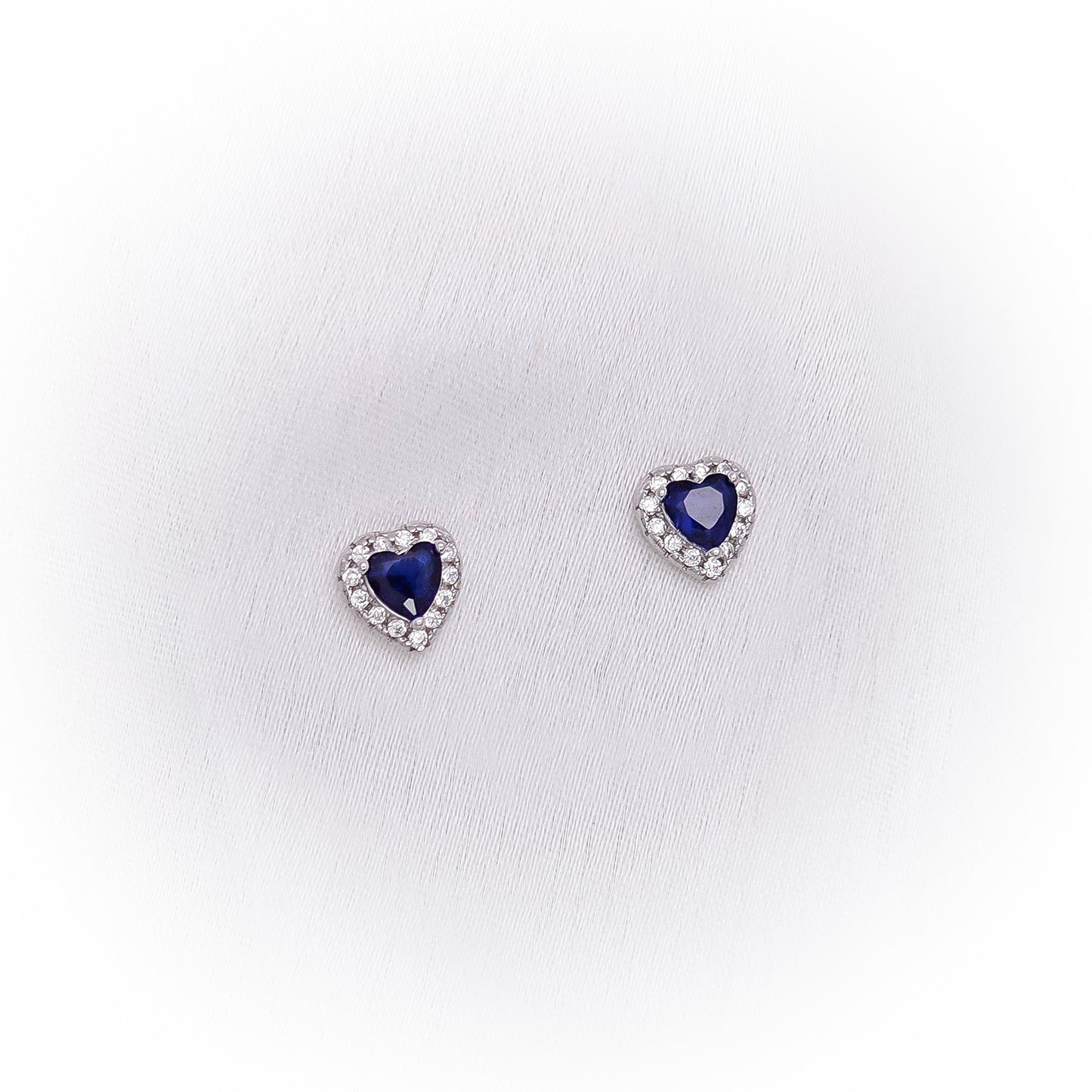 Silver Earrings E105