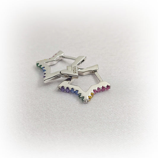 Silver Earrings E134