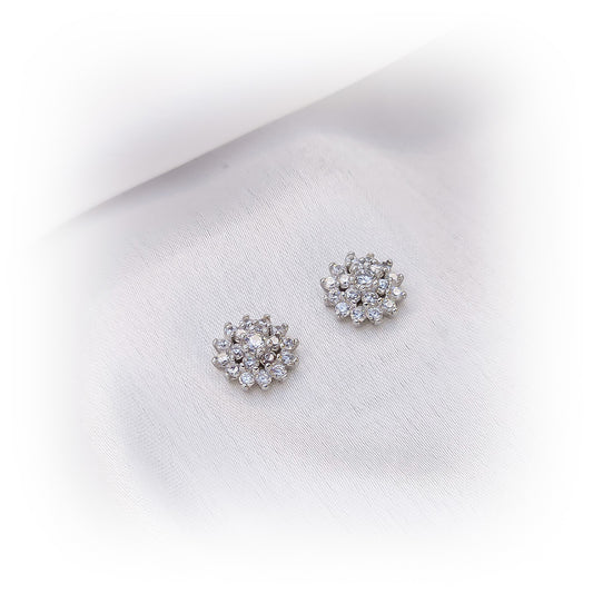 Silver Earrings E022