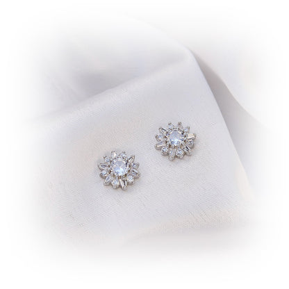 Silver Earrings E054