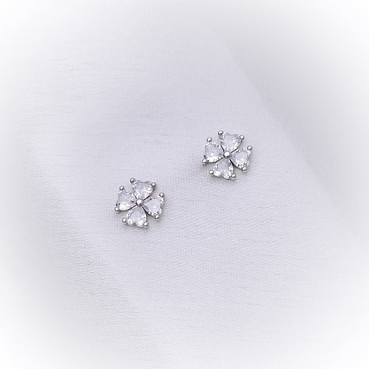 Silver Earrings E116