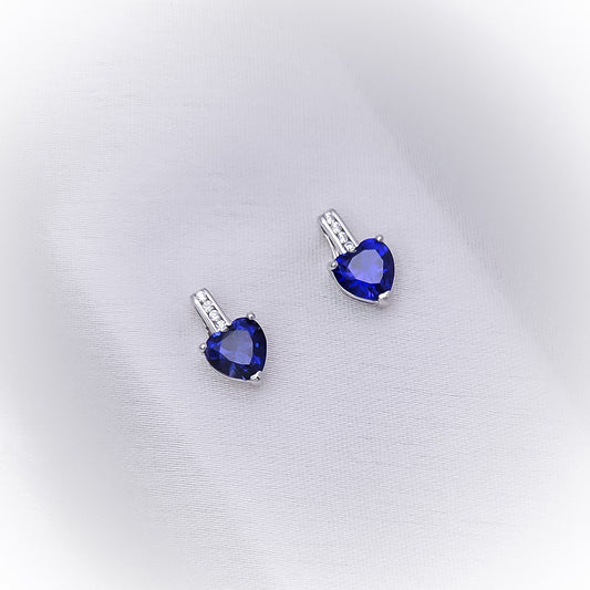 Silver Earrings E117