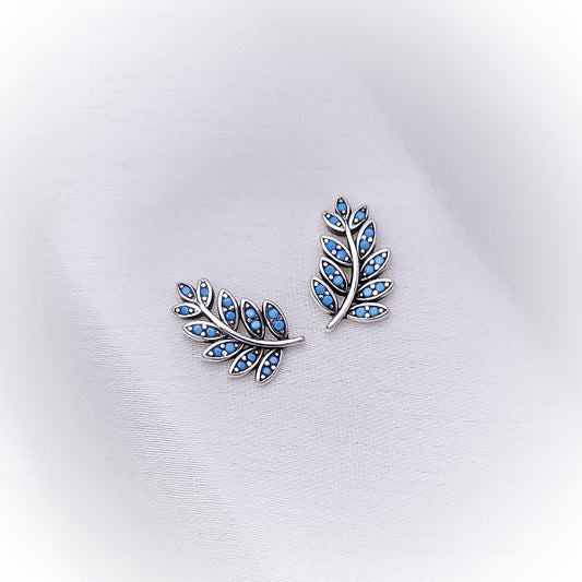 Silver Earrings E118