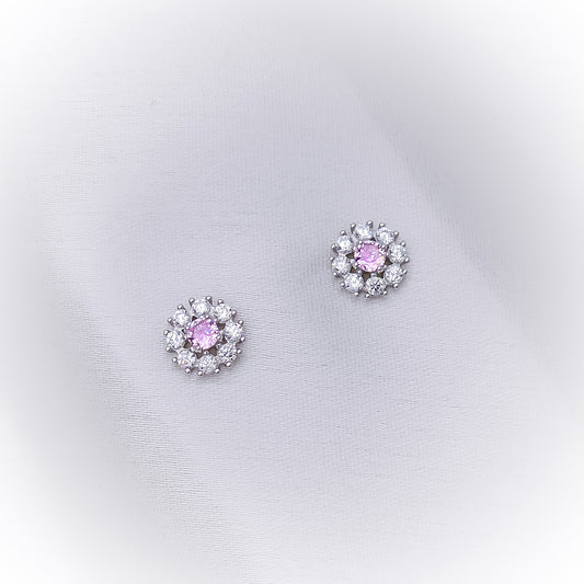 Silver Earrings E119
