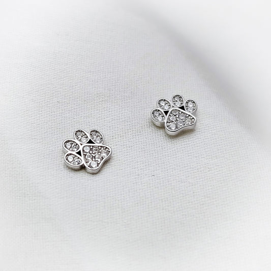 Silver Earrings E121