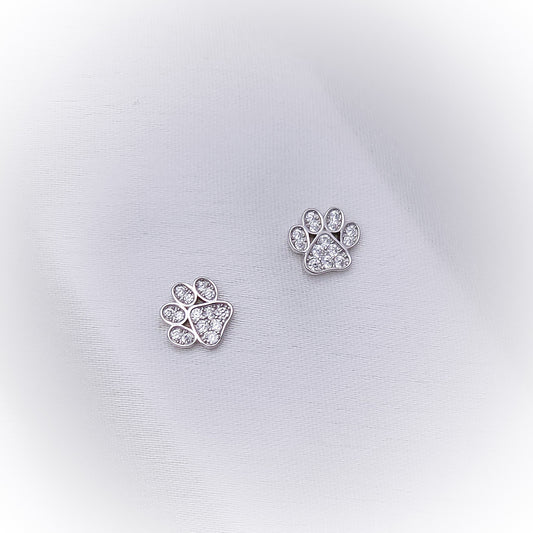 Silver Earrings E121