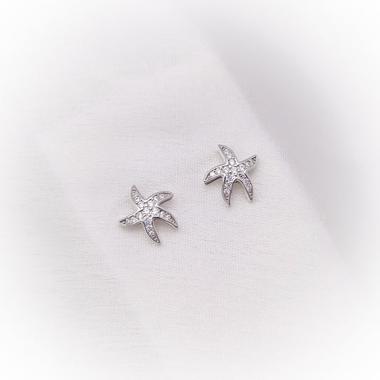Silver Earrings E123