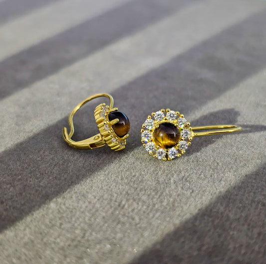 Silver Earrings E144 (Natural Tigerite)