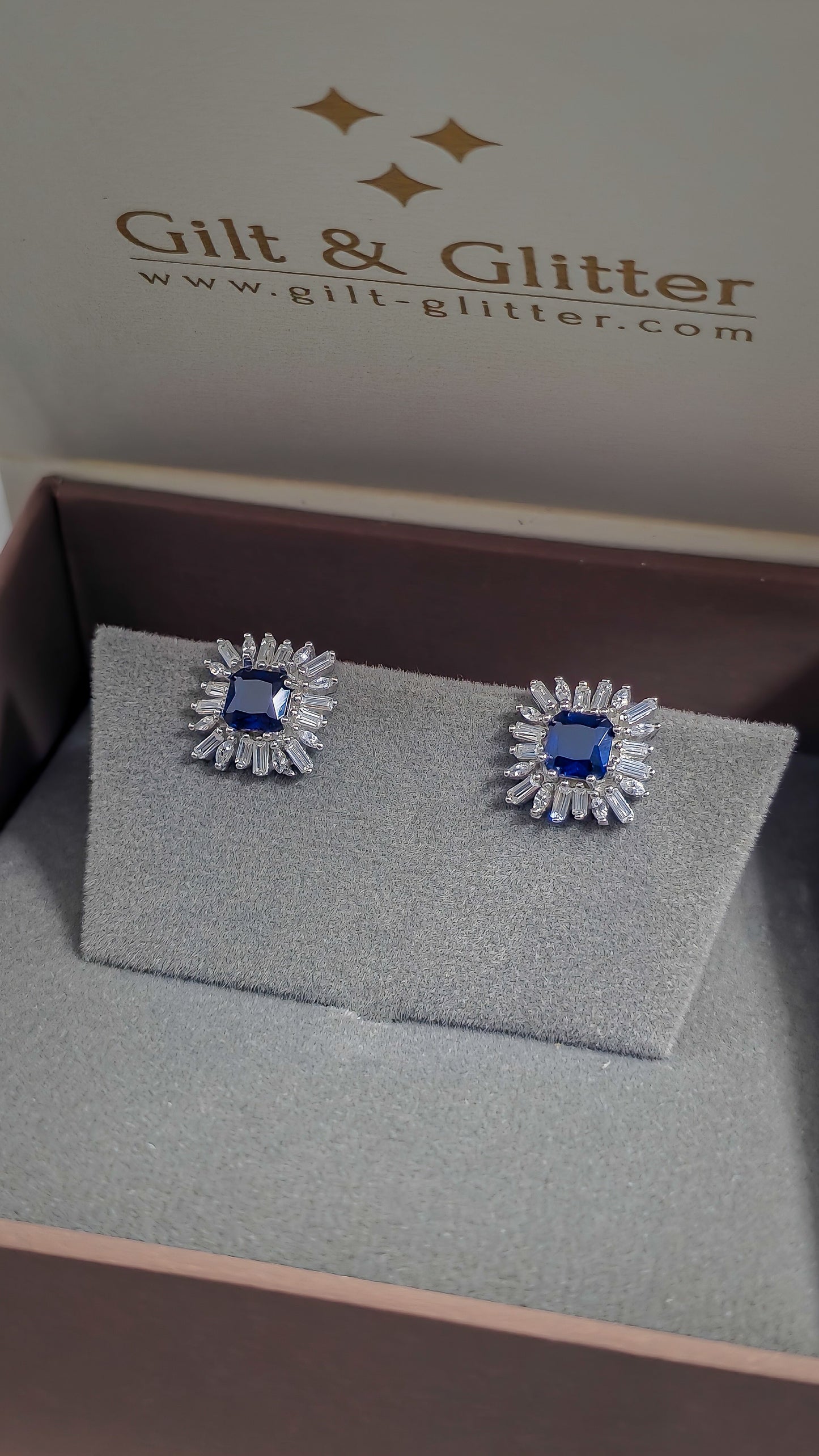 Silver Earrings E145