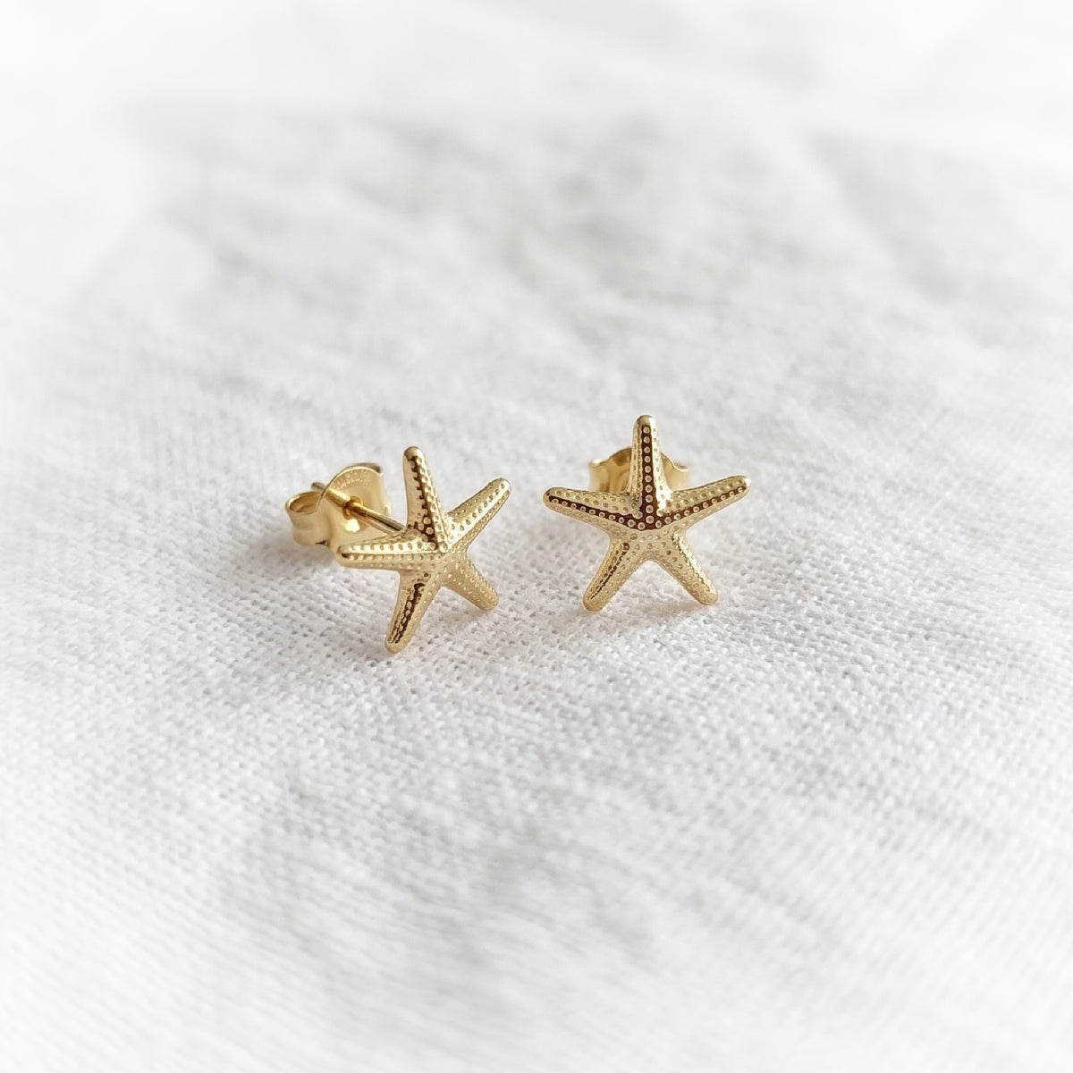 Silver Earrings E147