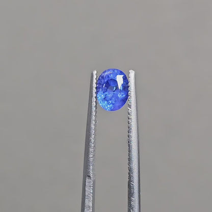 Natural Blue Sapphire (G1001)