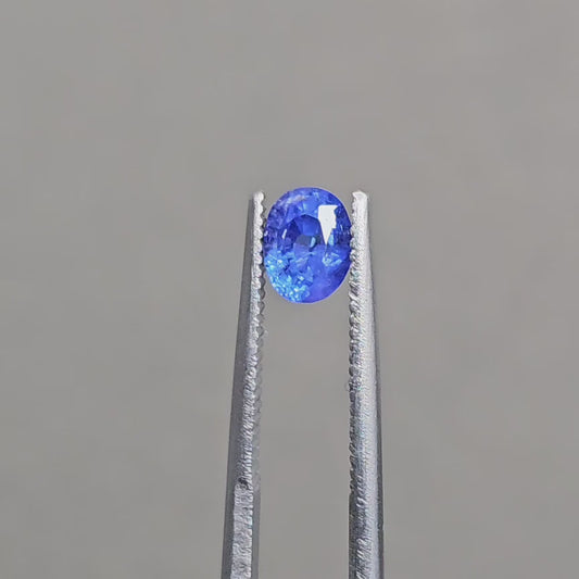 Natural Blue Sapphire (G1001)